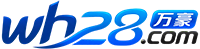 28包准网